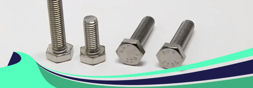 Stainless Steel 317 / 317L Hex Bolts