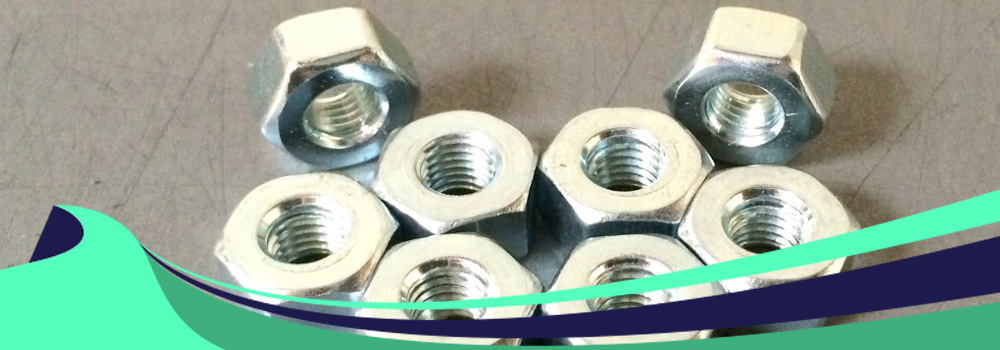 Stainless Steel 317/317L nuts