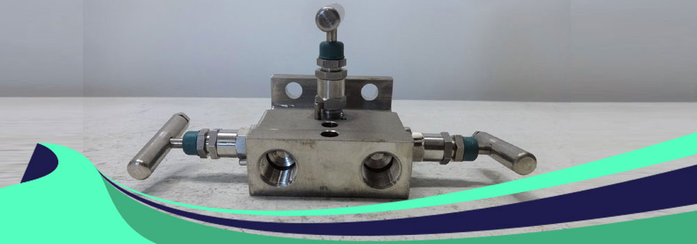 Stainless Steel 310 Manifold Valves