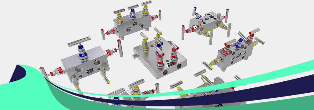 Stainless Steel 316 Manifold Valves