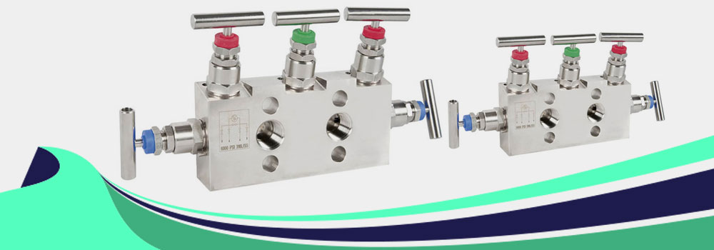 Stainless Steel 316L Manifold Valves