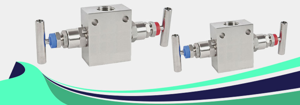 Stainless Steel 317L Manifold Valves