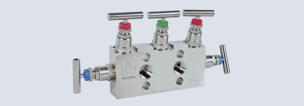 Incoloy 800 Manifold Valves